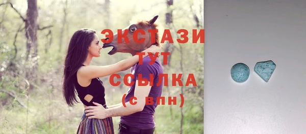 СК Гусь-Хрустальный