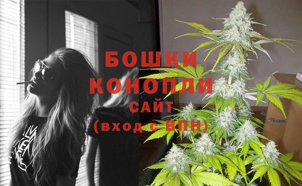 СК Горно-Алтайск