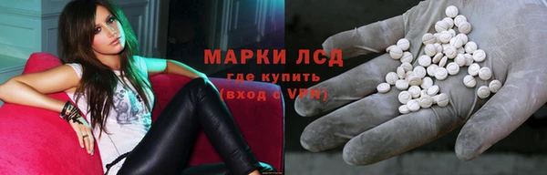 спиды Гусев