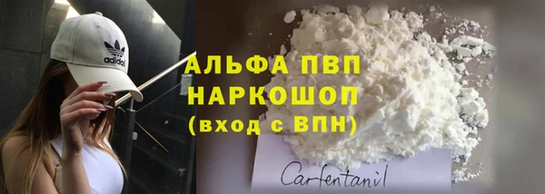 спиды Гусев