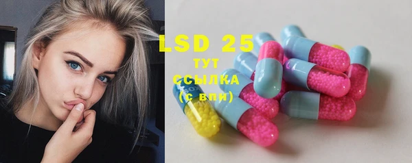 спиды Гусев