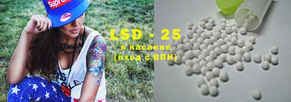 спиды Гусев