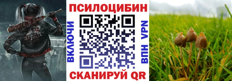 Галлюциногенные грибы Magic Shrooms  кракен ONION  Дмитровск  где купить наркоту 