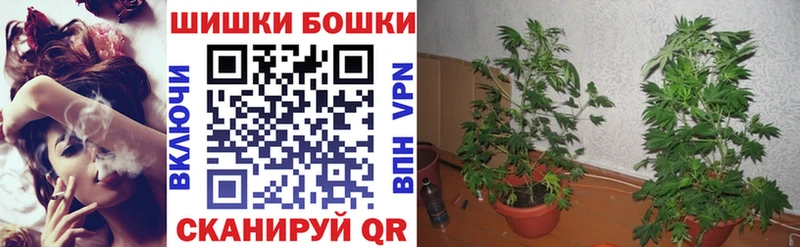 mega рабочий сайт  Дмитровск  Канабис Amnesia 